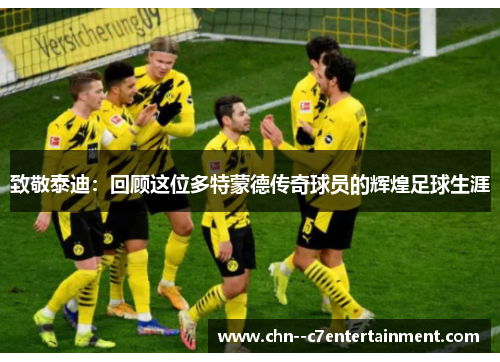 致敬泰迪:回顾这位多特蒙德传奇球员的辉煌足球生涯 致敬泰迪:回顾这位多特蒙德传奇球员的辉煌足球生涯